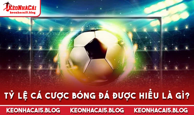ty le ca cuoc bong da duoc hieu la gi Tỷ lệ cá cược bóng đá được hiểu là gì?