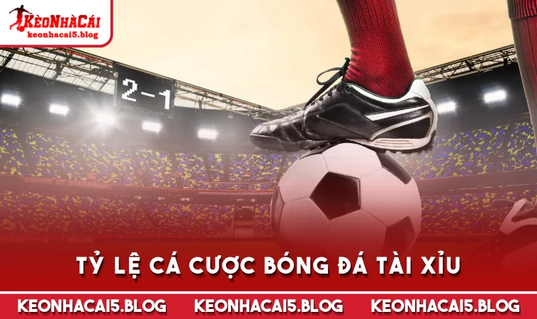 ty le ca cuoc bong da tai Tỷ lệ cá cược bóng đá tài xỉu